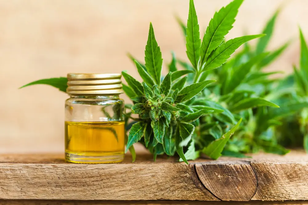 How Long Does CBD Stay in Your System?